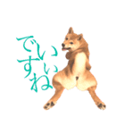 敬語で挨拶 柴犬はな 冬編（個別スタンプ：14）