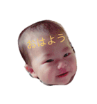 りったん9（個別スタンプ：1）