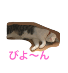 イタズラ猫のマロンちゃん（個別スタンプ：22）