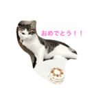 イタズラ猫のマロンちゃん（個別スタンプ：23）