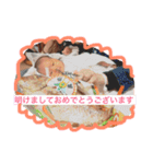 平井一家の自己満スタンプ①（個別スタンプ：1）