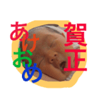 平井一家の自己満スタンプ①（個別スタンプ：5）
