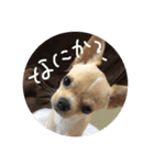 こてこて（個別スタンプ：2）