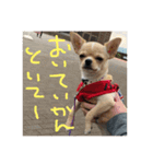 こてこて（個別スタンプ：8）