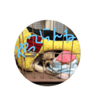 こてこて（個別スタンプ：12）