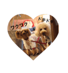 Love...Toypoodle！（個別スタンプ：6）