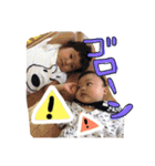 baby's r＆r（個別スタンプ：12）