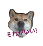 てつそら（個別スタンプ：18）