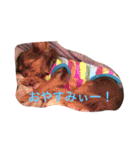 すぐキレるチワワのナナ＆チョコ（個別スタンプ：7）