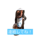 すぐキレるチワワのナナ＆チョコ（個別スタンプ：9）