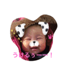すぐキレるチワワのナナ＆チョコ（個別スタンプ：12）