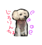 Araki's（個別スタンプ：5）