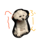 Araki's（個別スタンプ：12）