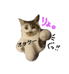 空ちゃんスタンプ 2（個別スタンプ：1）
