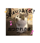 空ちゃんスタンプ 2（個別スタンプ：9）