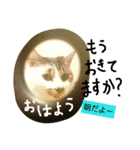 空ちゃんスタンプ 2（個別スタンプ：12）