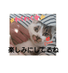 空ちゃんスタンプ 2（個別スタンプ：13）