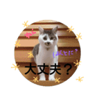 空ちゃんスタンプ 2（個別スタンプ：17）