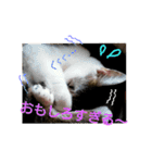 空ちゃんスタンプ 2（個別スタンプ：21）