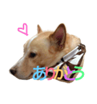 まるおの気持ち2（個別スタンプ：4）