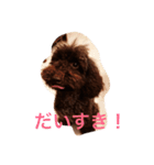 ABClife（個別スタンプ：2）