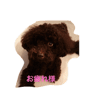 ABClife（個別スタンプ：6）