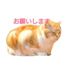 omotichan（個別スタンプ：6）