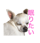 けけけとくくく（個別スタンプ：1）