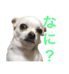 けけけとくくく（個別スタンプ：3）