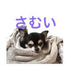 けけけとくくく（個別スタンプ：4）