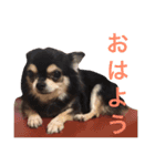 けけけとくくく（個別スタンプ：5）