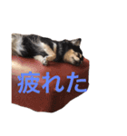 けけけとくくく（個別スタンプ：6）