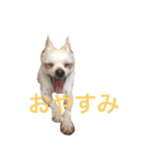 けけけとくくく（個別スタンプ：7）