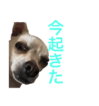 けけけとくくく（個別スタンプ：9）