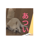 けけけとくくく（個別スタンプ：11）