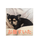 けけけとくくく（個別スタンプ：13）