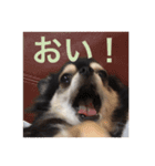けけけとくくく（個別スタンプ：14）