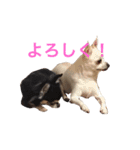 けけけとくくく（個別スタンプ：15）