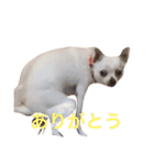 けけけとくくく（個別スタンプ：16）