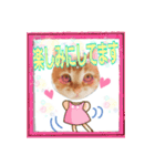 ♥ねこちゃん2♥（個別スタンプ：3）