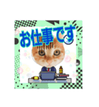 ♥ねこちゃん2♥（個別スタンプ：6）