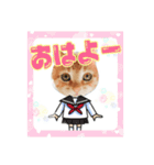 ♥ねこちゃん2♥（個別スタンプ：9）