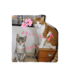 choco＆luna（個別スタンプ：9）