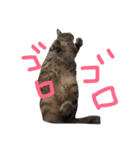 ももすた8 2（個別スタンプ：1）