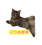 ももすた8 2（個別スタンプ：2）