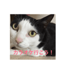 ももすた8 2（個別スタンプ：8）