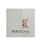 ちゃまりおねっと君（個別スタンプ：3）
