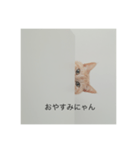 ちゃまりおねっと君（個別スタンプ：4）