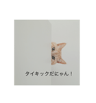 ちゃまりおねっと君（個別スタンプ：5）