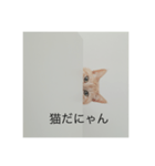 ちゃまりおねっと君（個別スタンプ：8）